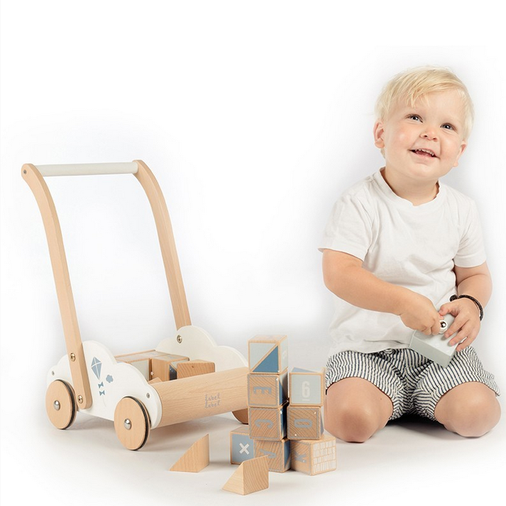 Baby Lauflernwagen mit Holzbausteinen blau