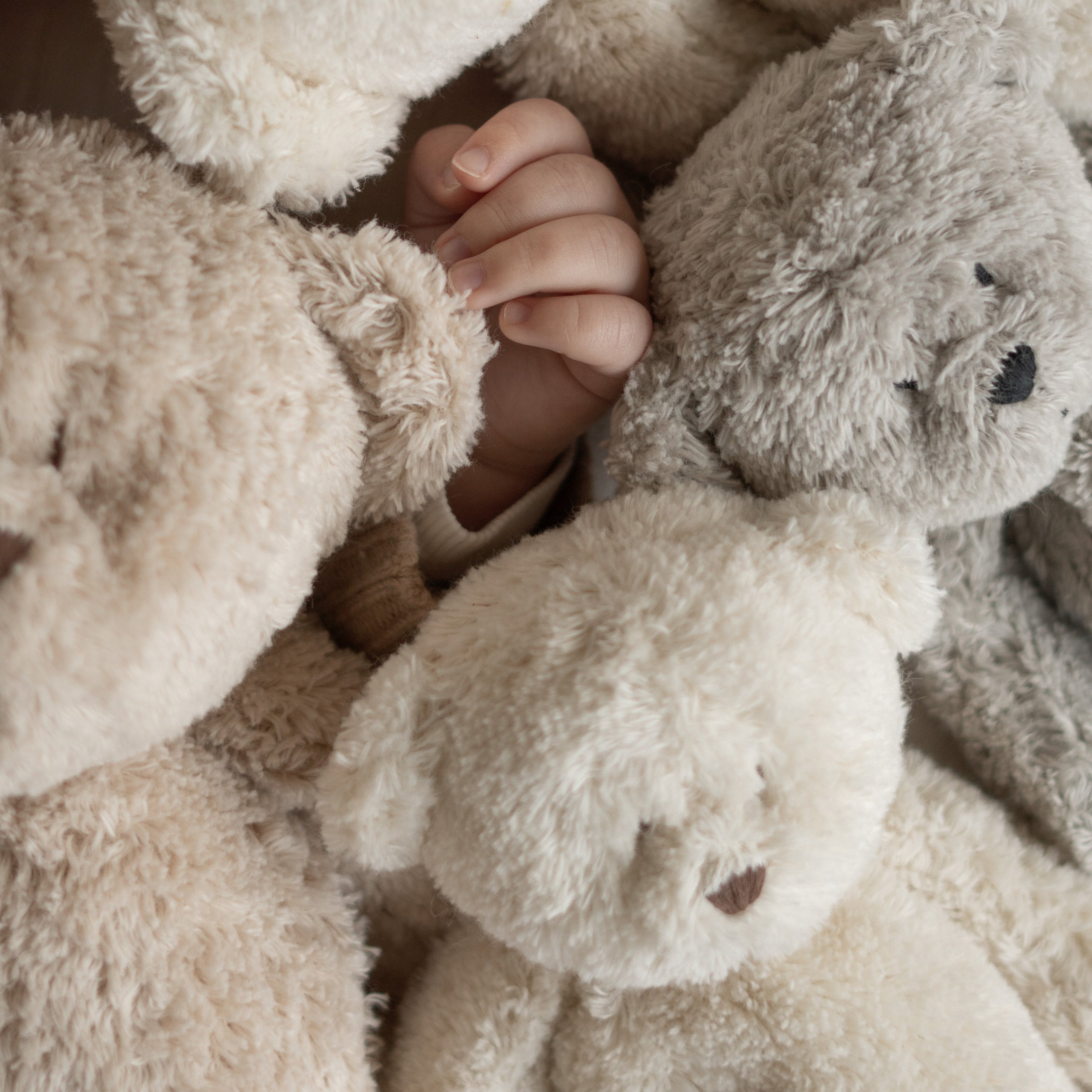 Moonie Teddybär &