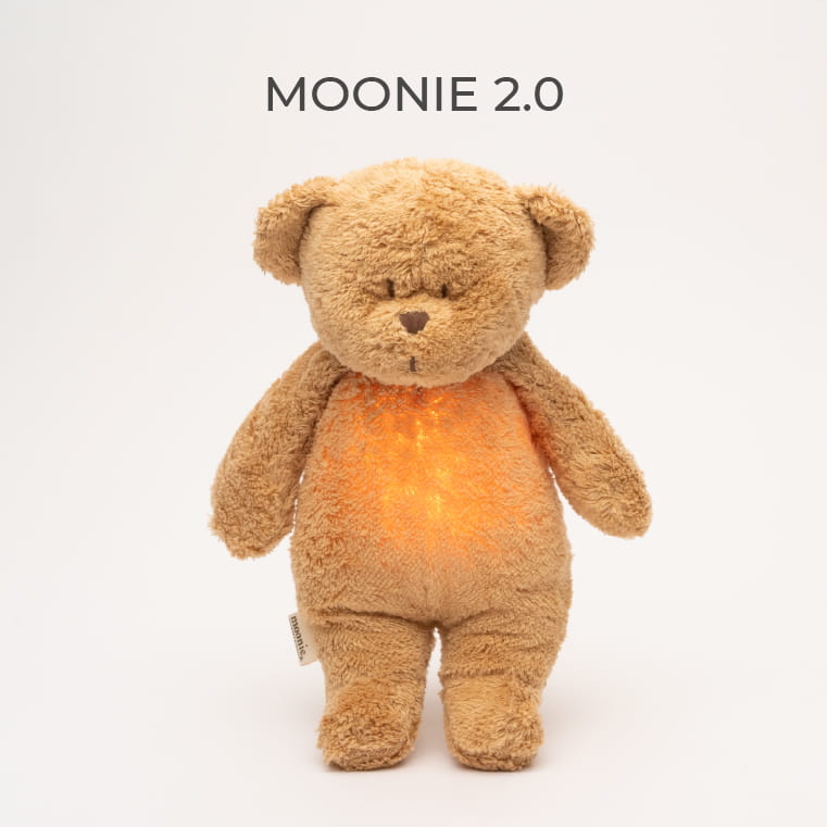 Moonie Teddybär &
