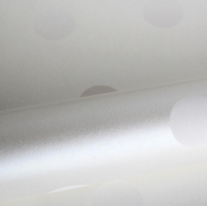 Vliestapete Dots mattweiß - silber