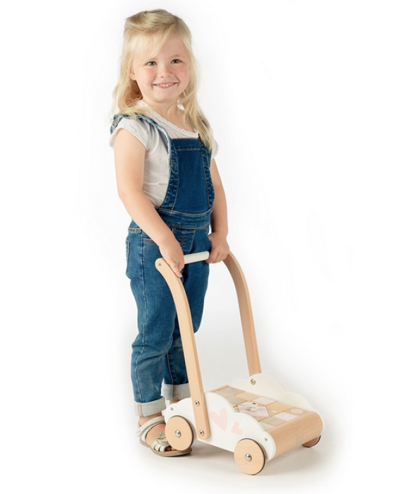 Holzlauflernwagen mit Bausteinen, Holz Lauflernwagen Blau Label Label, Holzklötze für Kinder,
