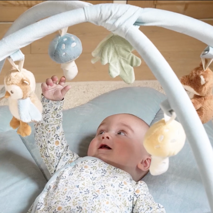 Baby Spielbogen &