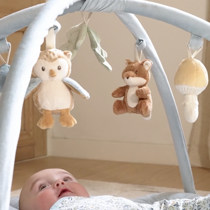 Baby Spielbogen &