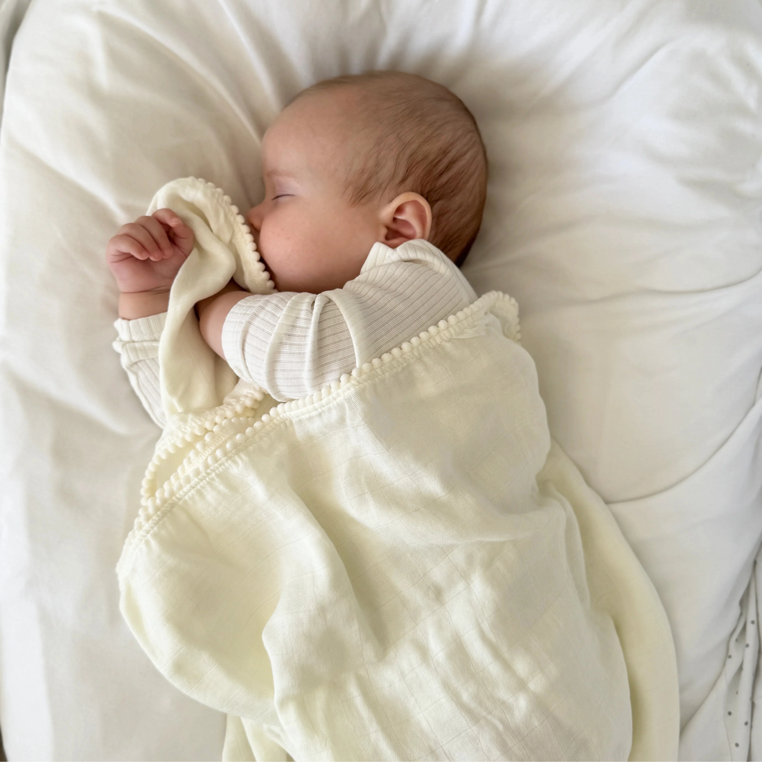 Jack o Juno Pucktuch Pom Pom tofu