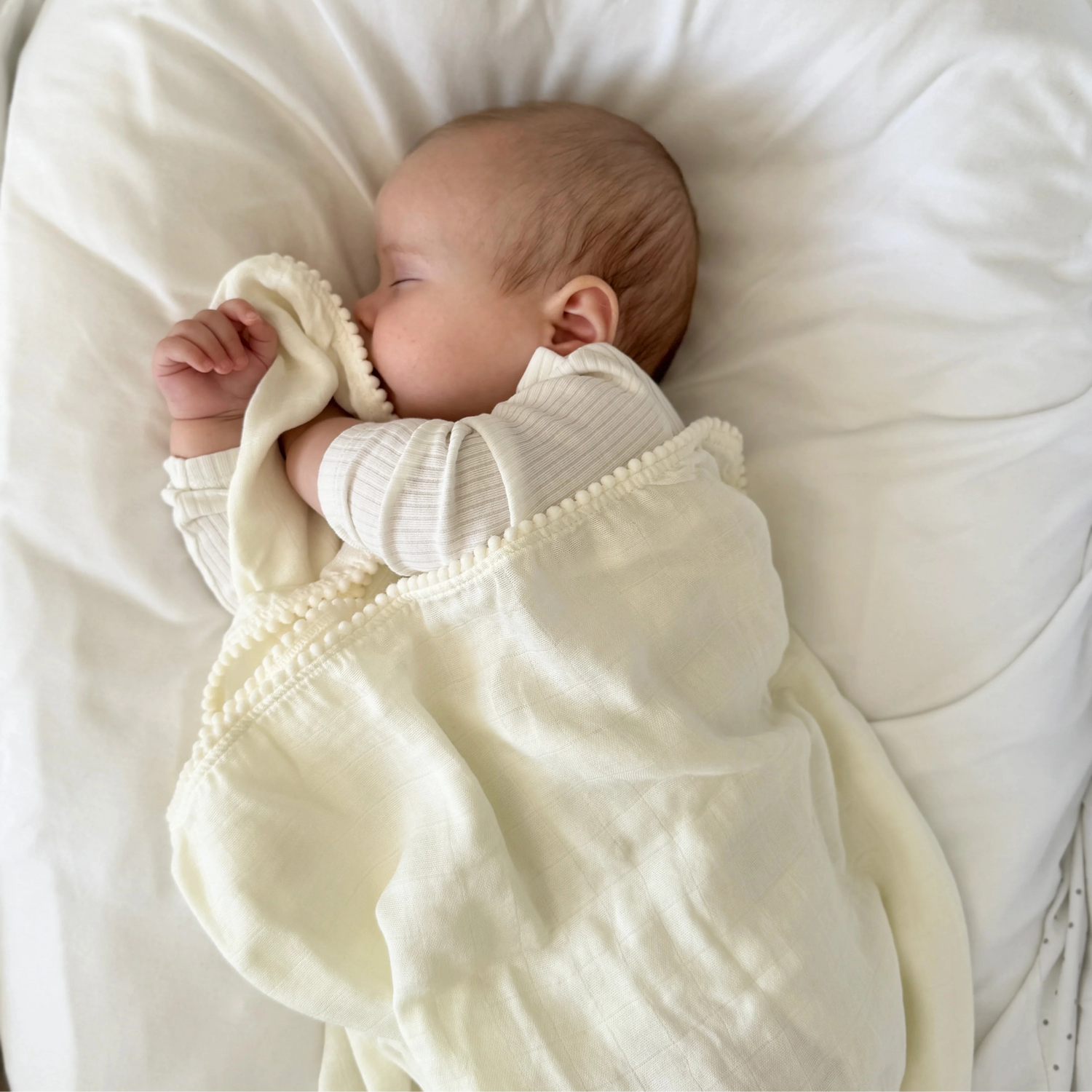 Jack o Juno Pucktuch Pom Pom tofu