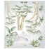 Dekornik Wandsticker Savannah mit Pflanzen & Bäumen - Dekornik - harmony ambiente